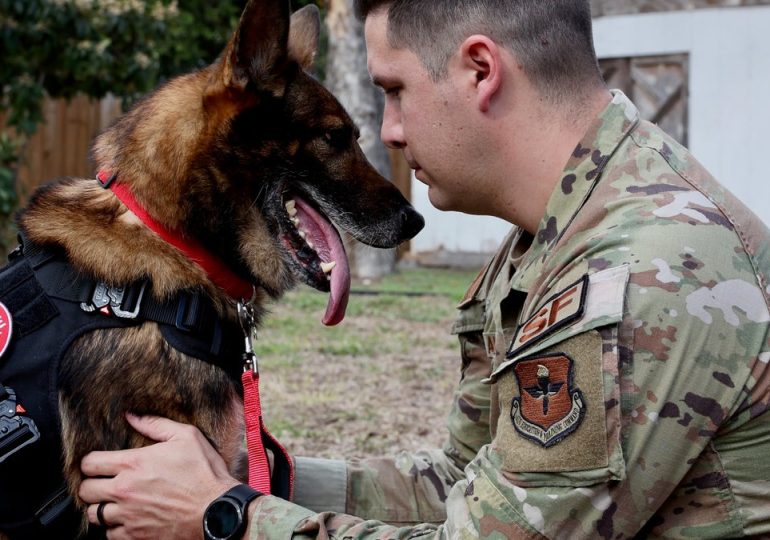 Dog that served our nation is reunited with its former Air Force handler: 'It's been a blessing'