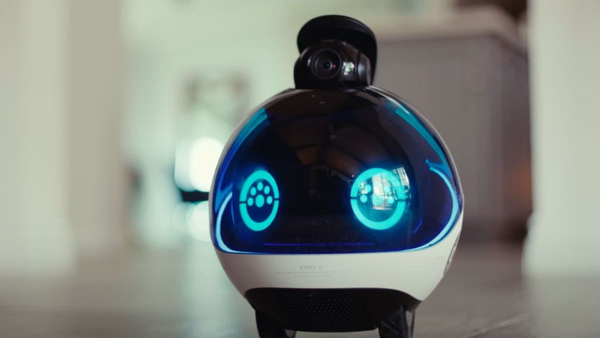 How this robot helps you protect and connect your home