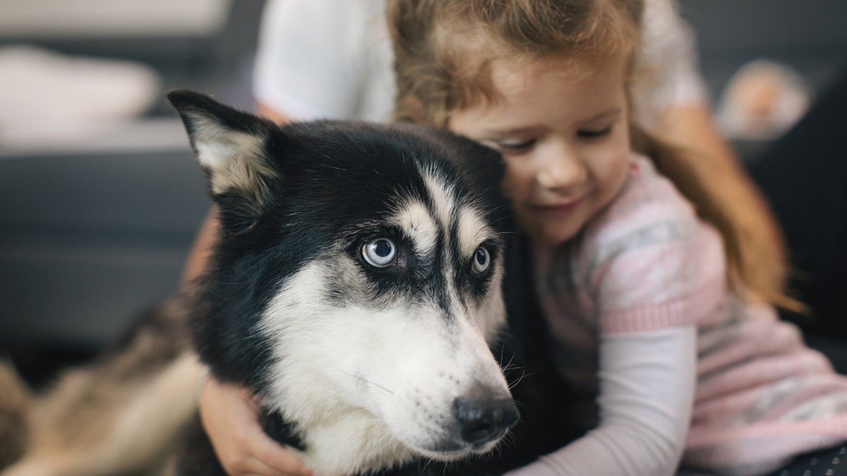 little girl dog hug