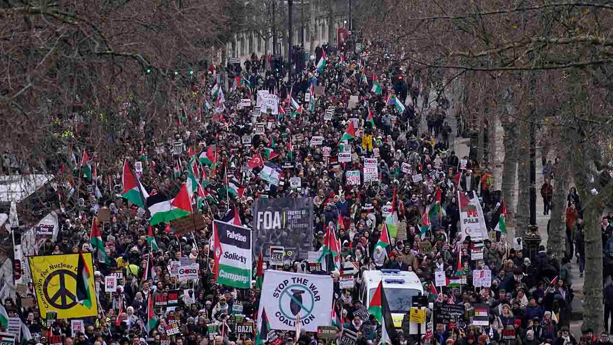 pro-Palestinian protesters marching