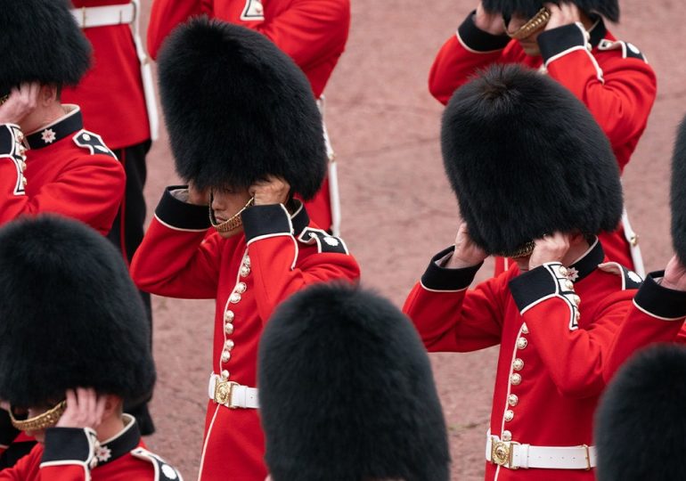 PETA launches campaign against bearskin hats worn by King's Guard in United Kingdom