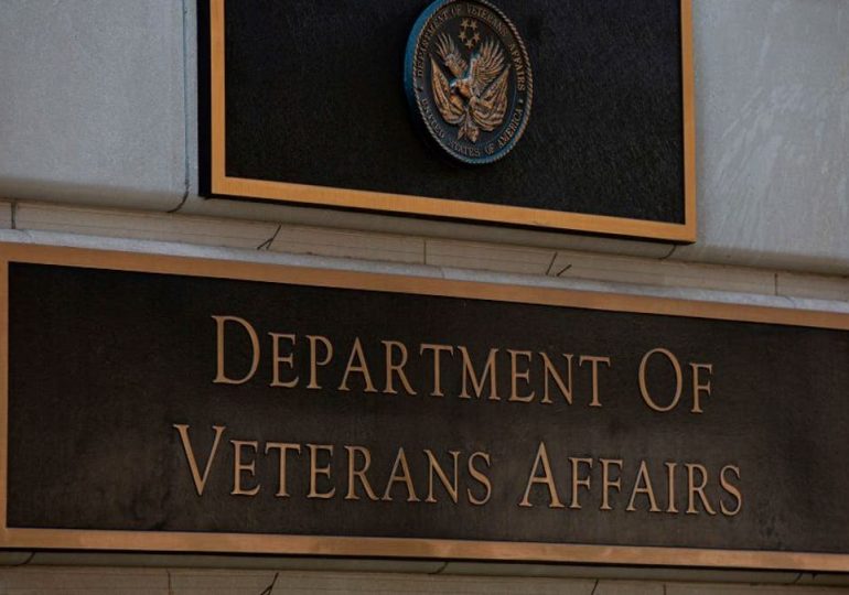 VA gets flak for using staff to help ICE process illegal immigrant health care despite backlog of veterans