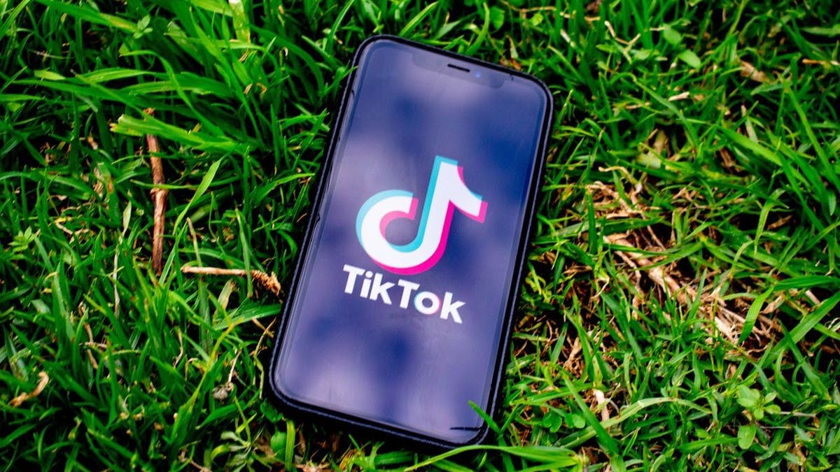 tiktok removal 6 