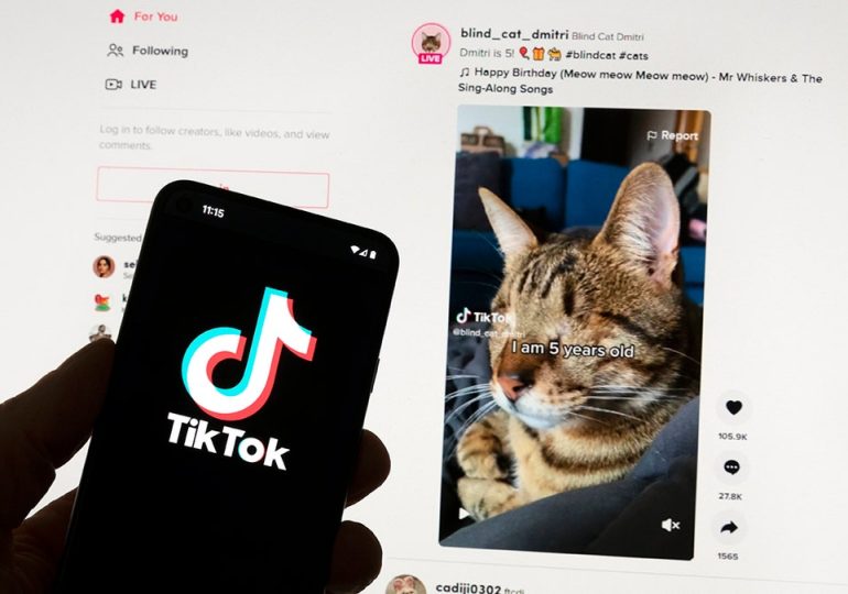 European Union has requested details surrounding TikTok's newest app that has quietly been released in the EU