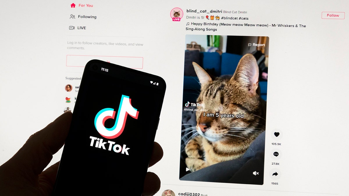 European Union has requested details surrounding TikTok's newest app that has quietly been released in the EU