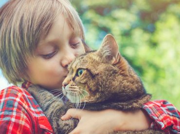 Cat owners could be at higher risk of schizophrenia, study suggests, but more research needed