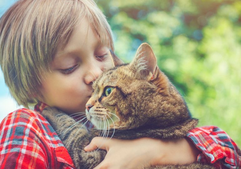 Cat owners could be at higher risk of schizophrenia, study suggests, but more research needed