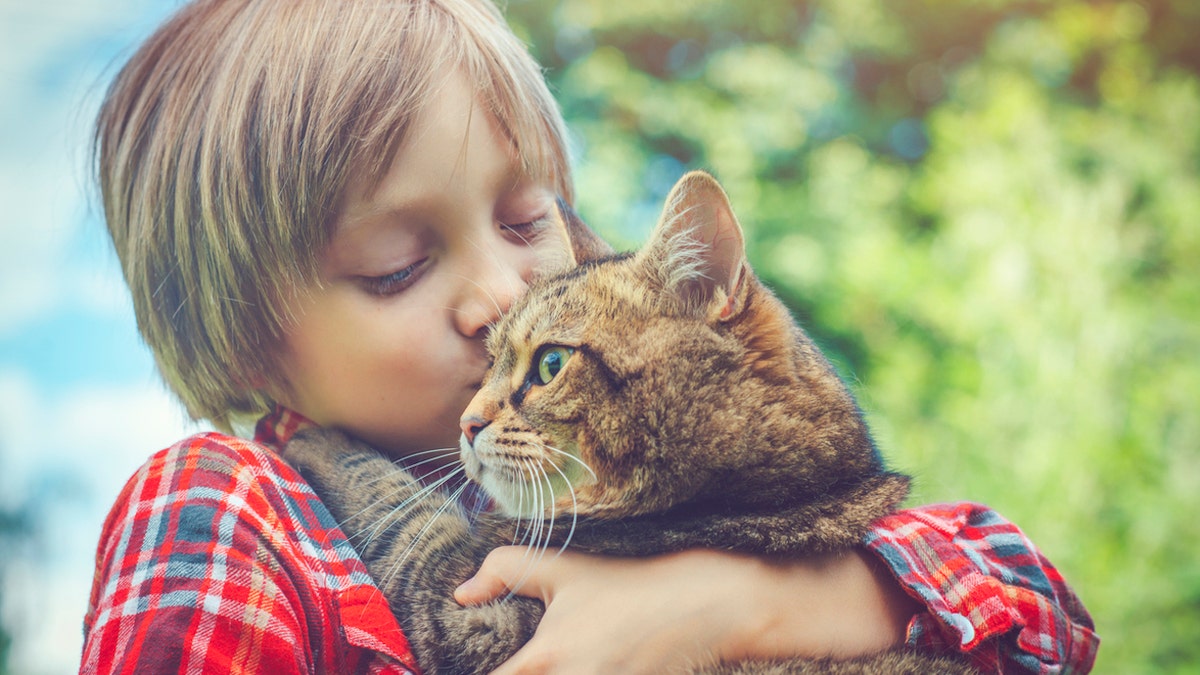 Cat owners could be at higher risk of schizophrenia, study suggests, but more research needed
