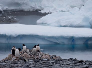 In message to Russia, Chilean lawmakers meet in Antarctica to underline territorial claims