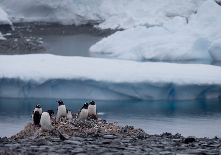 In message to Russia, Chilean lawmakers meet in Antarctica to underline territorial claims