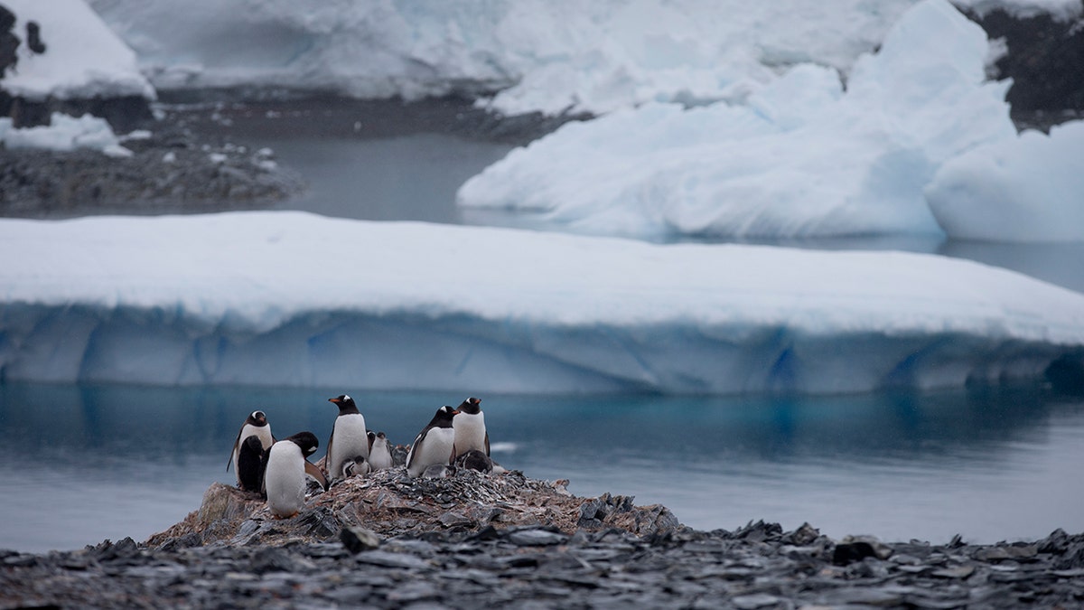 In message to Russia, Chilean lawmakers meet in Antarctica to underline territorial claims