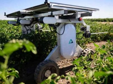 Solar-powered robot zaps weeds without chemicals
