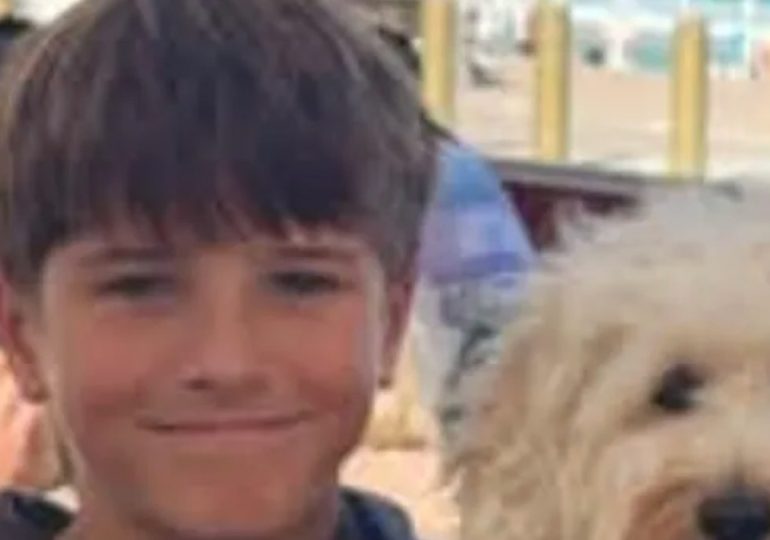 Boy, 12, dies after shark attack while swimming at popular cliff-jumping spot: 'We are heartbroken'