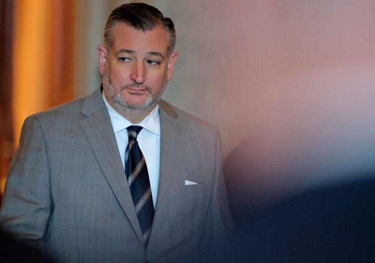 Ted Cruz urges US to arm Iranian protesters as militias threaten ‘total war’ against America