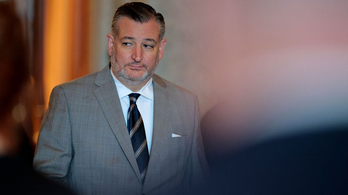 Ted Cruz wearing a gray suit.