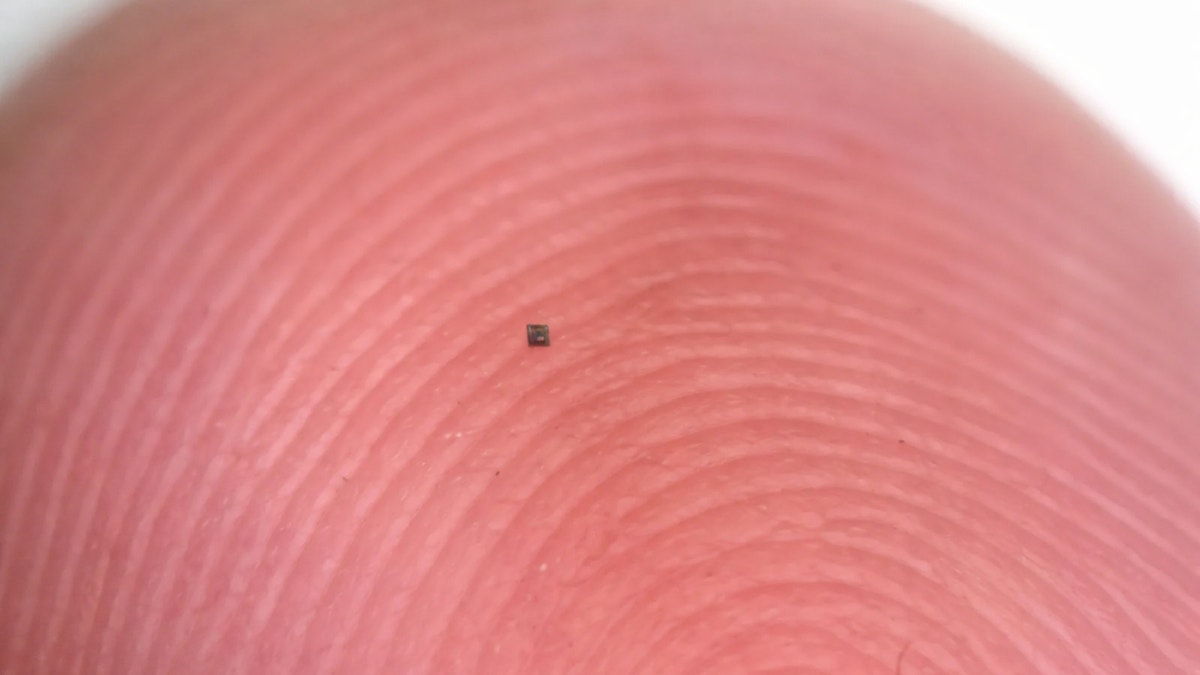 Tiny swimming robot on someone's fingertip.