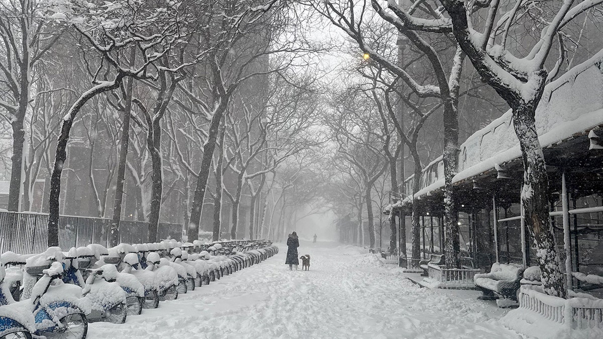 woman walks her dog in snow