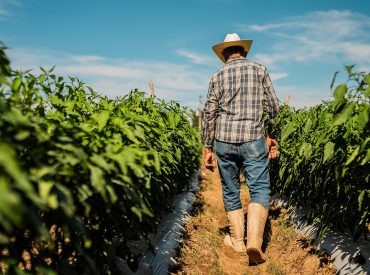 Parkinson's risk increases with exposure to common chemical, study suggests