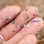 RFK Jr, EPA chief ‘declare war’ on microplastics amid growing evidence of health risks