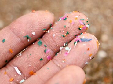 RFK Jr, EPA chief 'declare war' on microplastics amid growing evidence of health risks